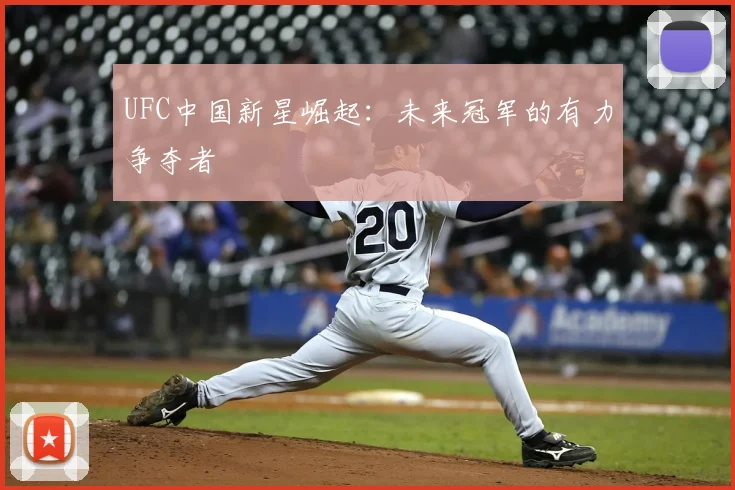 UFC中国新星崛起：未来冠军的有力争夺者