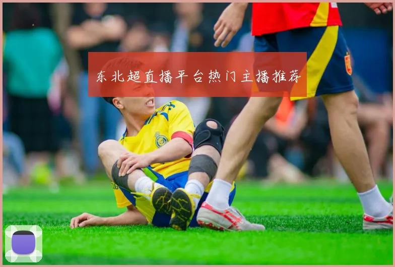 东北超直播平台热门主播推荐