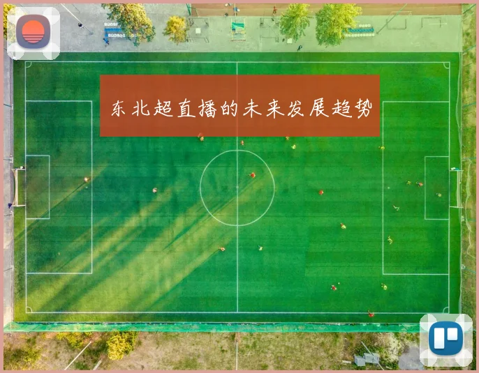 东北超直播的未来发展趋势
