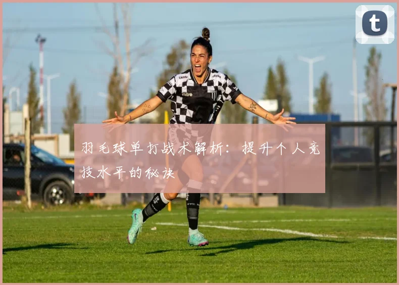 羽毛球单打战术解析：提升个人竞技水平的秘诀