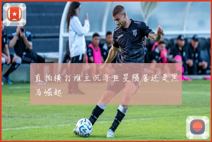 直拍横打谁主沉浮巨星陨落还是黑马崛起