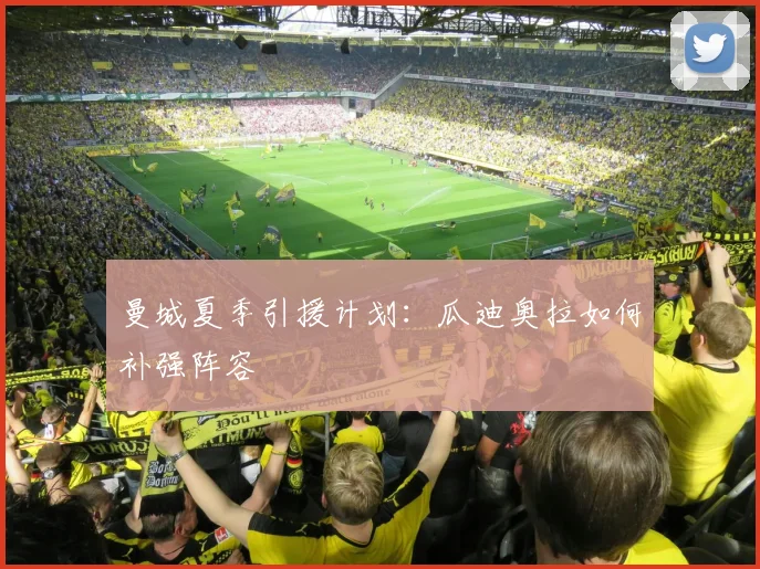 曼城夏季引援计划：瓜迪奥拉如何补强阵容