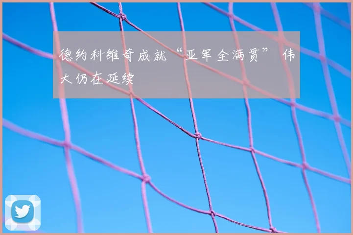 德约科维奇成就“亚军全满贯” 伟大仍在延续