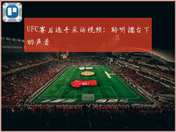 UFC赛后选手采访视频：聆听擂台下的声音